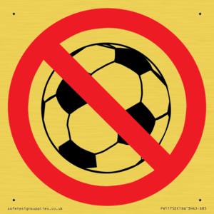 P909 Prohibition: No ball games